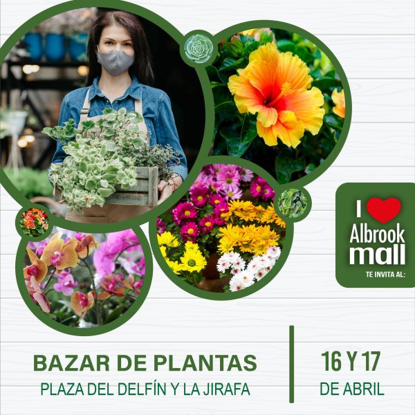 BAZAR DE PLANTAS ABRIL