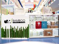 Bamboo